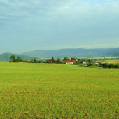 Podpoľanie...