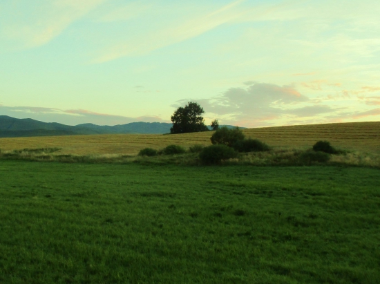 Polia,lúky,remízky,pod Poľanov.