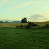 Polia,lúky,remízky,pod Poľanov.