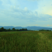 Poľana,Poľana...