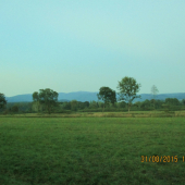 Z večernej čakanej.