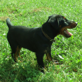 DEO na prechádzke...