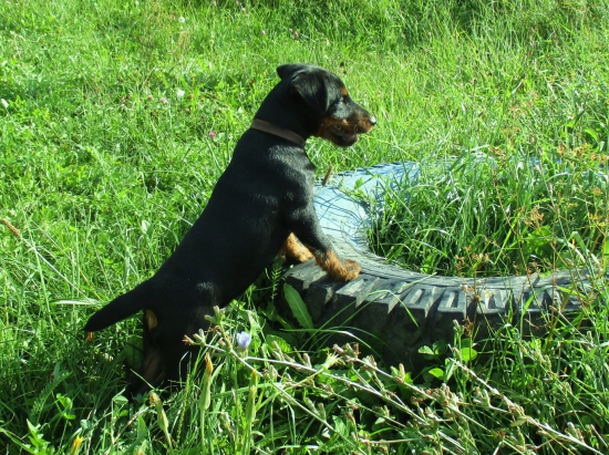 DEO si to užíva...