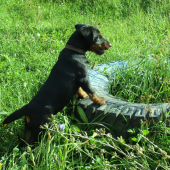 DEO si to užíva...