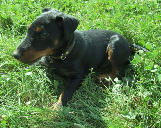 Odychujeme po prechádzke.