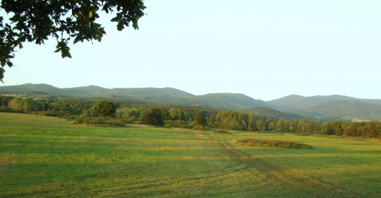 Farby sa menia,prichádza jeseň.
