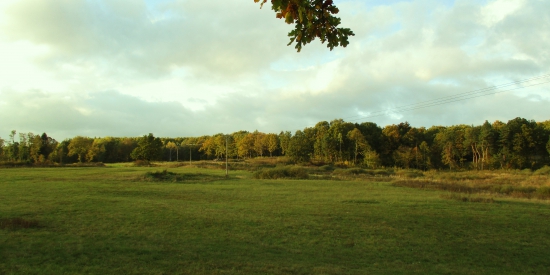 Jesená.