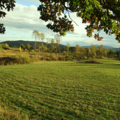 Jesená.