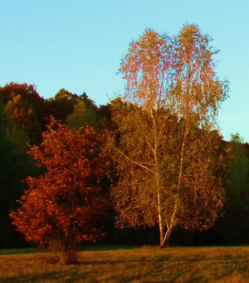 Jeseň.