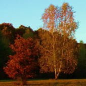 Jeseň.