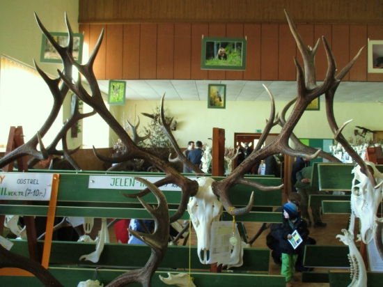 Chovateľská prehliadka-B.Bystrica.