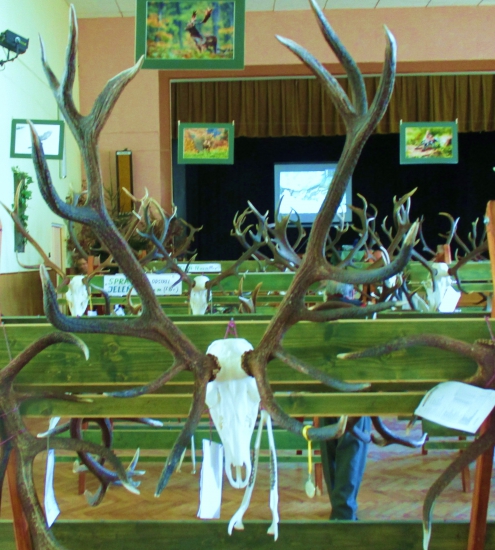 Chovateľská prehliadka-B.Bystrica.