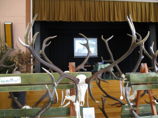 Chovateľská prehliadka-B.Bystrica.