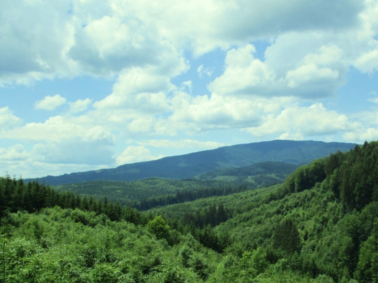 Pohľad z Poľany.