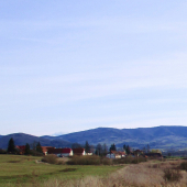 Z jarnej prechádzky.