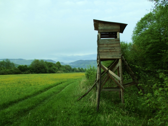Môj obľúbený a na správnom mieste.