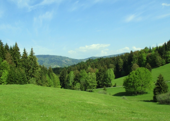 Lúka na Zálomskej.