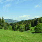 Lúka na Zálomskej.