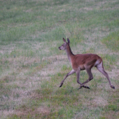 Po stretnutí so mnou.