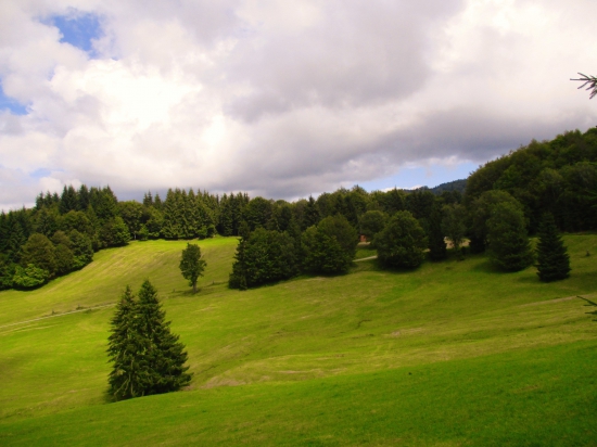 Zálomská lúky.