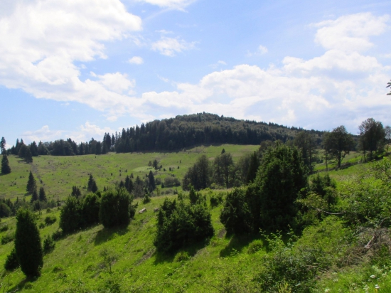 Okolie Poľany.