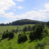 Okolie Poľany.