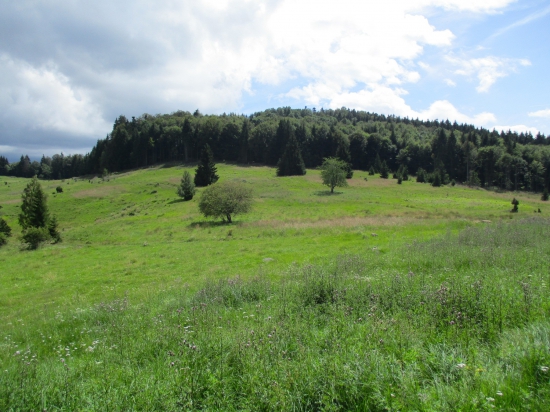 Podpoľanie.