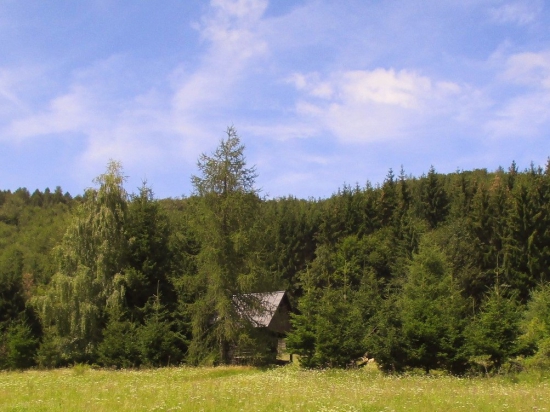 V Podpoľaní.