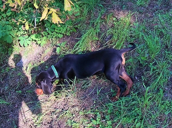 Nový prírastok do rodiny...