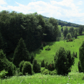 Podpoľanie...