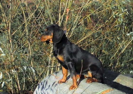 TD MEGA z Prosného.