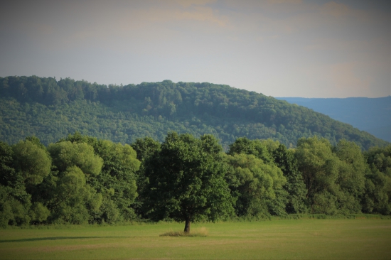 Podpoľanie.