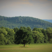 Podpoľanie.