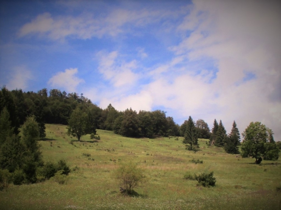 Podpoľanie.