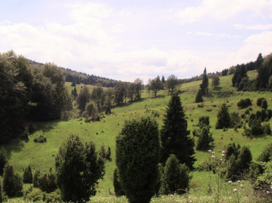 Podpoľanie.