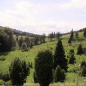 Podpoľanie.