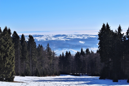 Poľana.