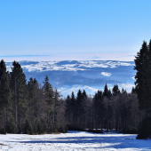 Poľana.