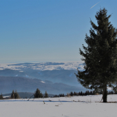 Na vrch na Poľane...