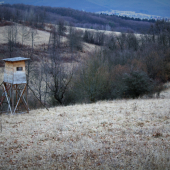Podpoľanie...