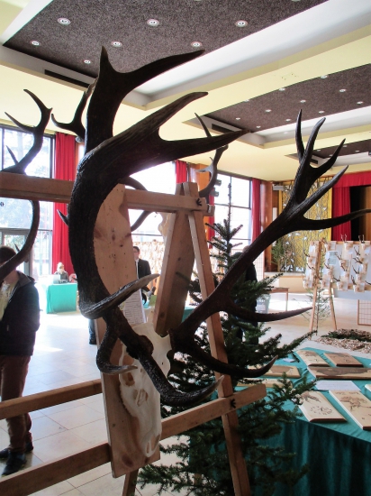 Zlatý jeleň-213,38b.CIC