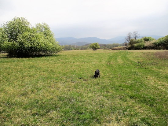 Podpoľanie...
