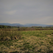 Jedna z posliedky...