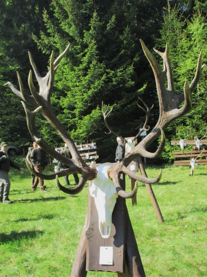 CHPZaT- Zálomská  - 2017