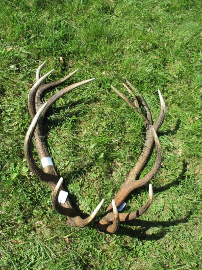 CHPZaT- Zálomská  - 2017