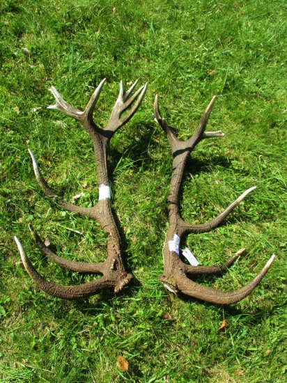 ChPZaT-Zálomská 2017.