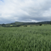 Podpoľanie okolie Detvy.