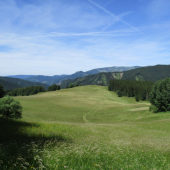 Aká si mi krásna..........