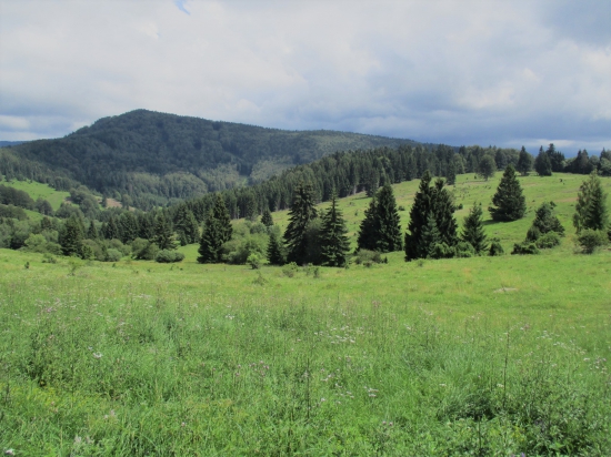 Podpoľanie.
