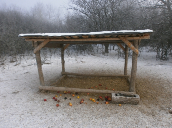 Takto to vyzeralo dnes po obede...